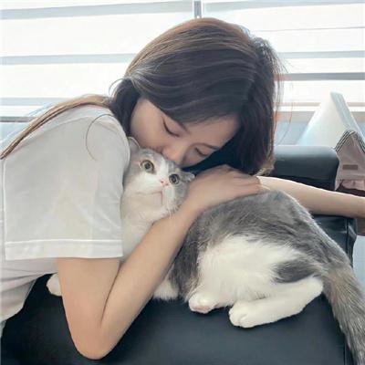 鸡密真相